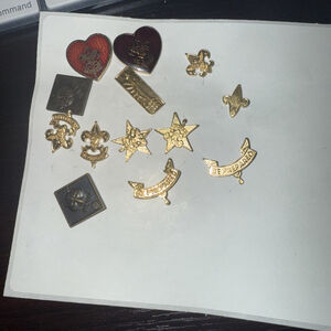 Vintage Mid-Century BOY SCOUTS cub scout PIN COLLECTION wolf bear